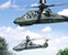 Comanche